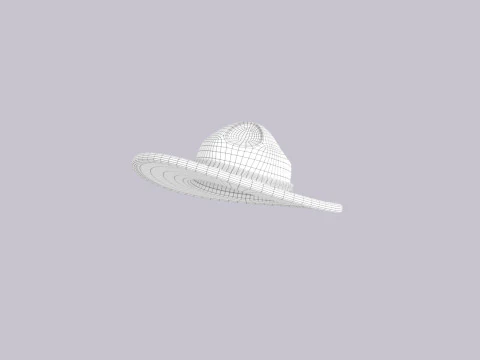 Hat517 3D Model