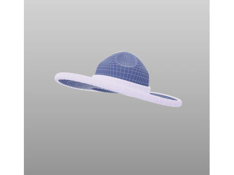 Hat517 3D Model