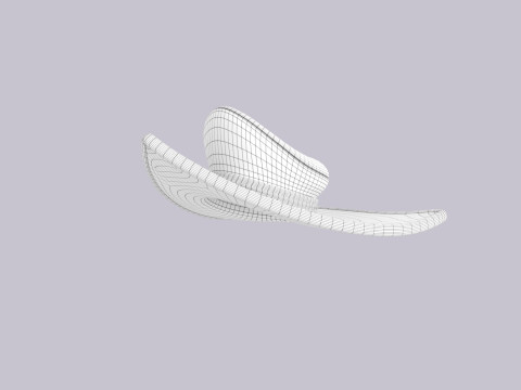 Hat519 3D Модель
