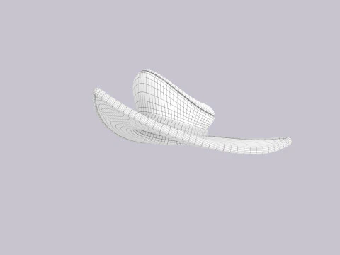 Hat519 3D Model