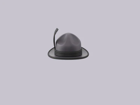 Hat520 3D Model