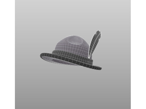 Hat520 Model 3D