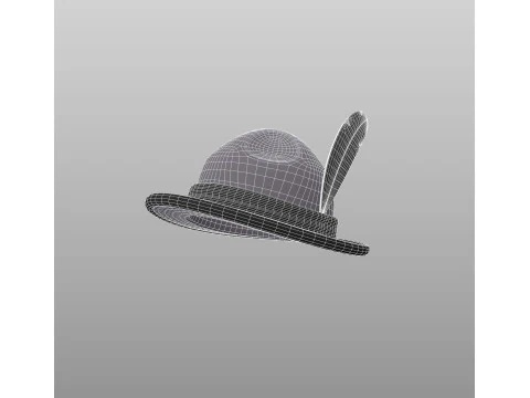 Hat520 3D Model