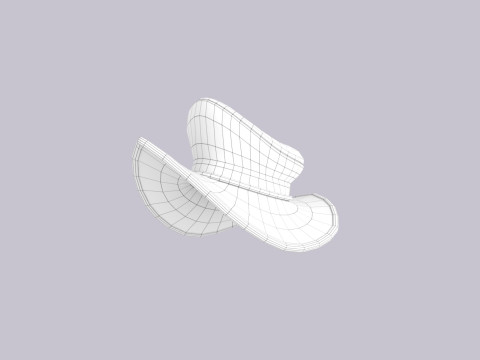 Hat521 3D 模型