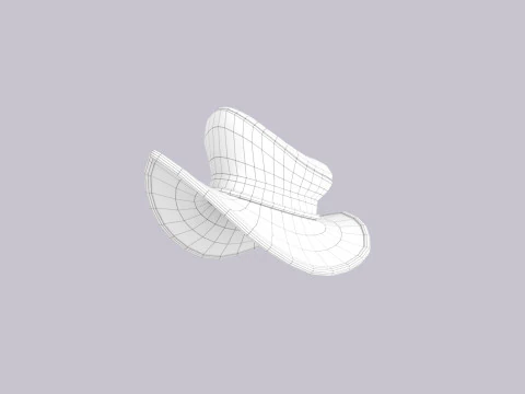 Hat521 3D Model
