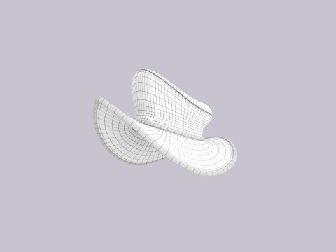 Hat521 3D 模型