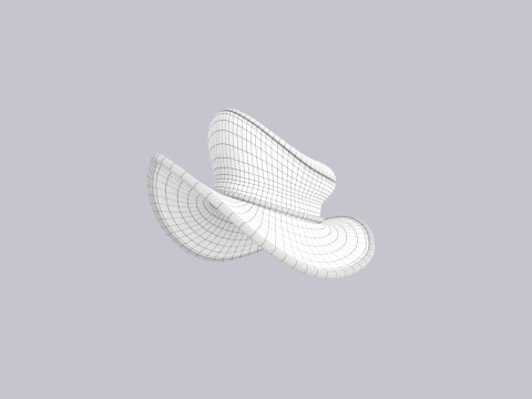 Hat521 3D Model