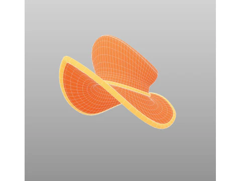 Hat521 3D Model