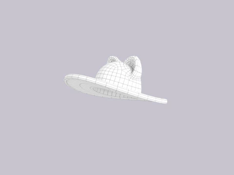 Hat524 3D Model