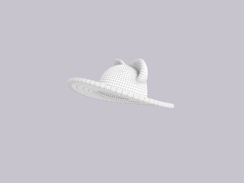Hat524 3D Model