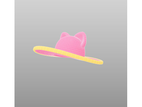 Hat524 3D Model