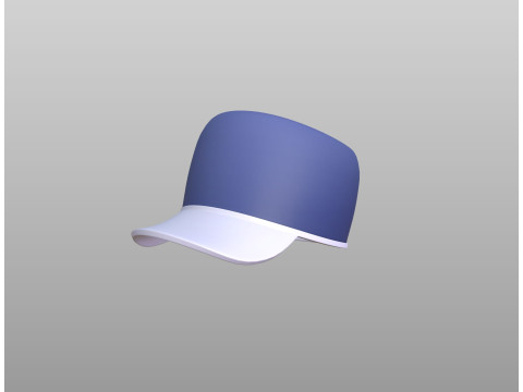 Hat525 3D Model