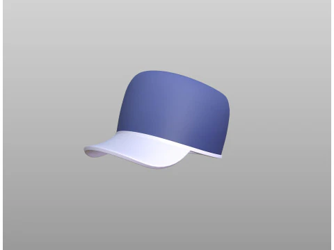 Hat525 3D Model