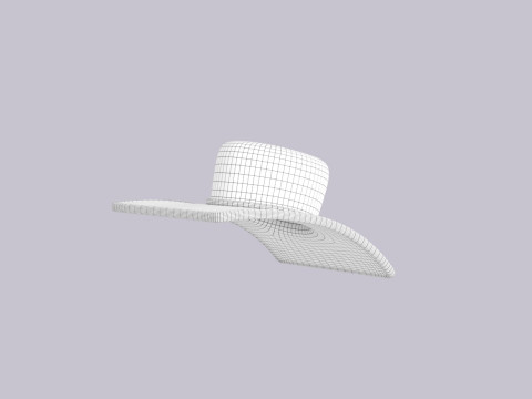 Hat526 3D 모델