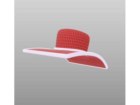 Hat526 3D 모델
