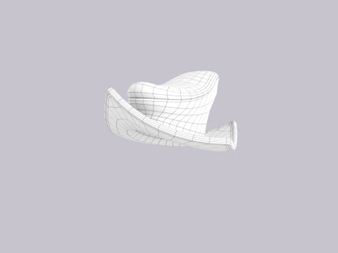 Hat527 3D Model