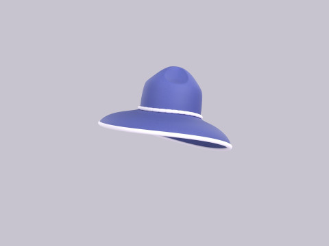 Hat528 Modèle 3D