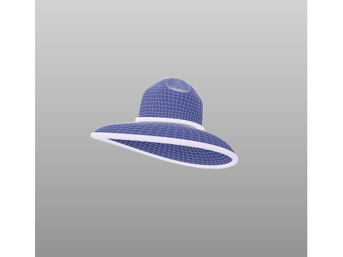 Hat528 Model 3D