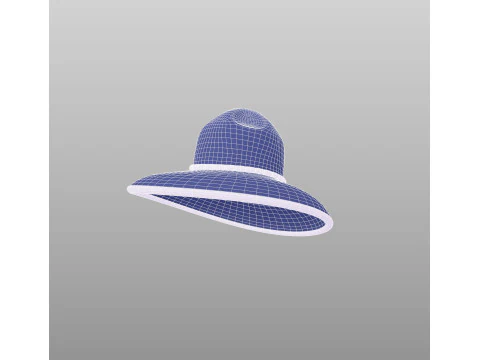 Hat528 3D Model