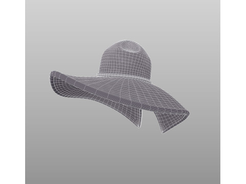 Hat534 3D 모델