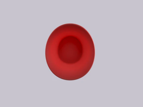 Hat539 3D Model