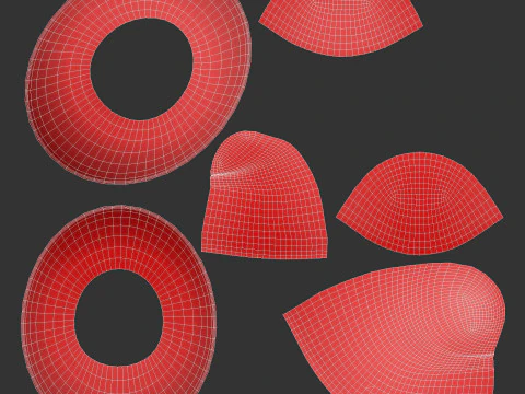 Hat539 3D Model