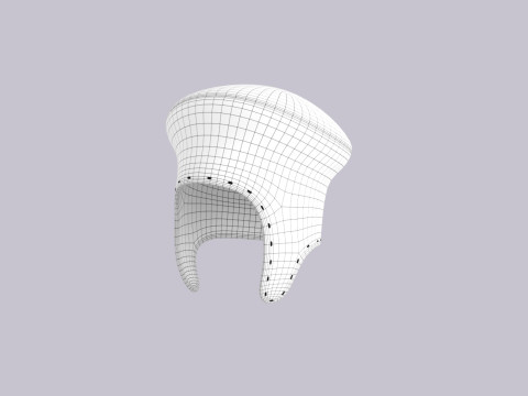Hat540 3D Model