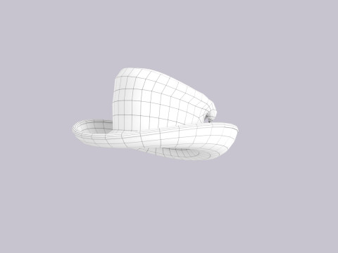 Hat541 Modello 3D