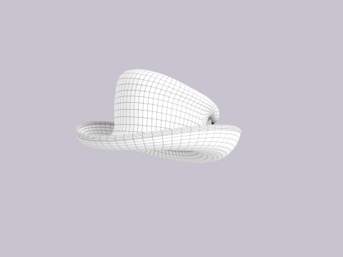 Hat541 Modello 3D