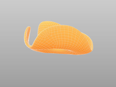 Hat543 Modello 3D