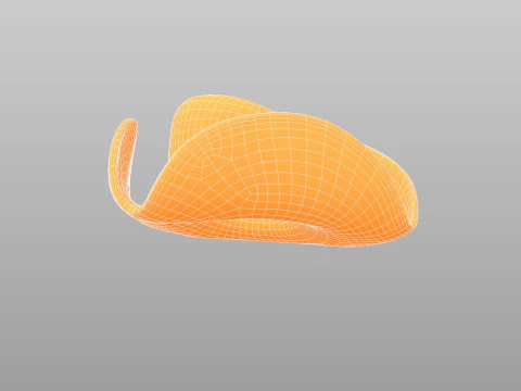 Hat543 3D Model