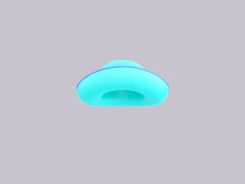 Hat545 3D Model