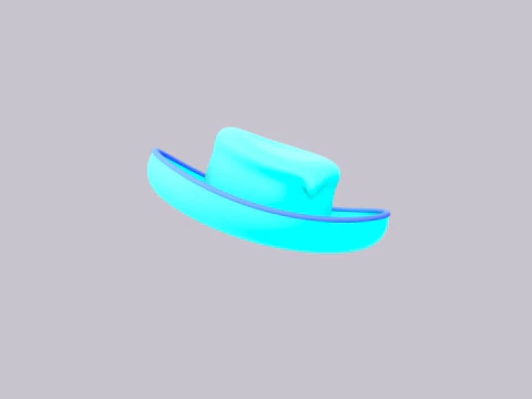 Hat545 3D Model