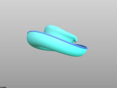 Hat545 3D Model