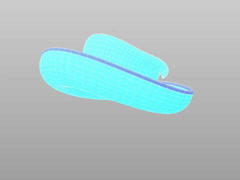 Hat545 3D Model