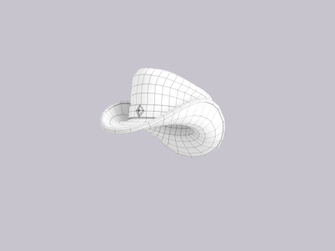 Hat549 3D Model