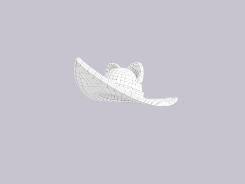 Hat552 3D Model