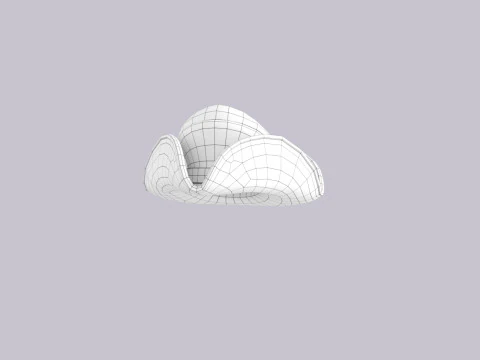 Hat553 3D Model