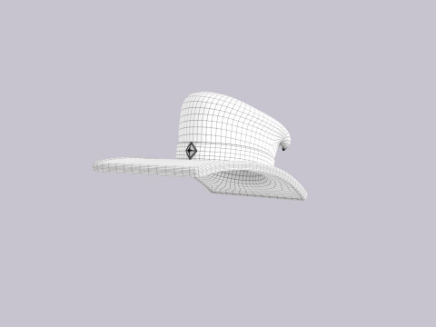 Hat556 3D Model