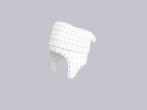 Hat557 3D Model