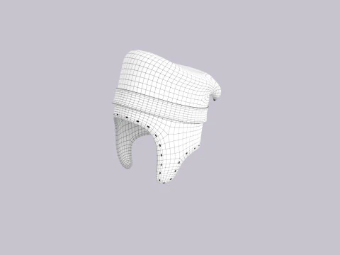 Hat557 3D Model