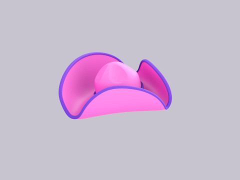 Hat560 Model 3D