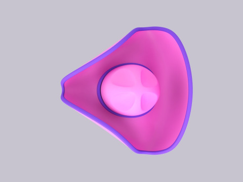 Hat560 Model 3D