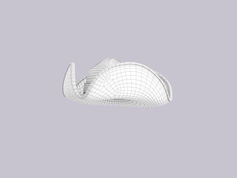 Hat560 Model 3D