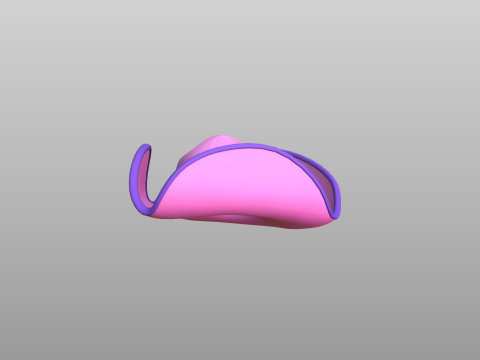 Hat560 Model 3D