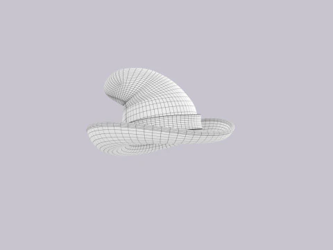 Hat563 3D Model