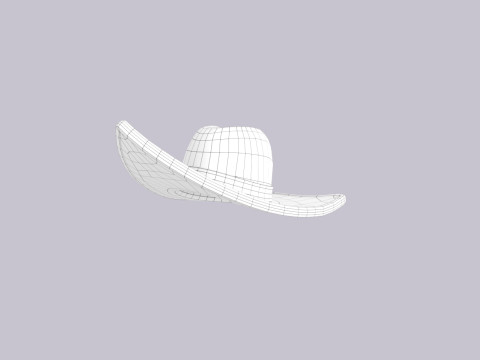Hat565 Model 3D