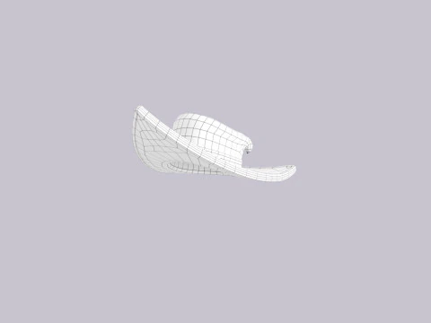 Hat568 3D Model