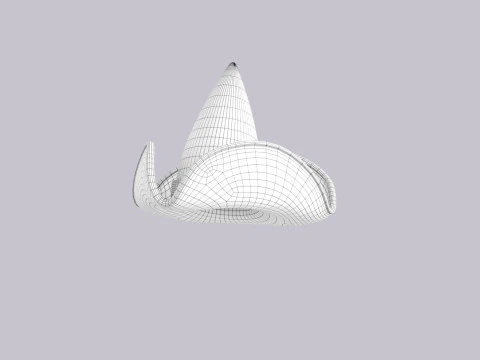 Hat570 3D Model