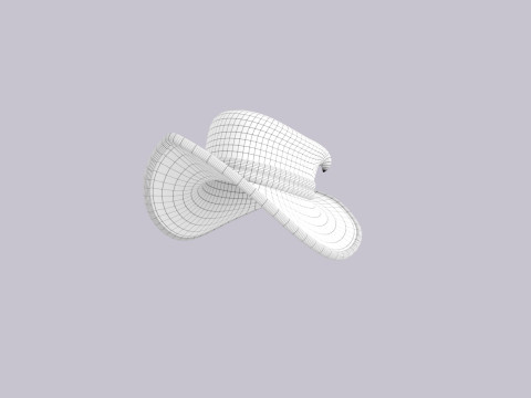 Hat572 3D 모델